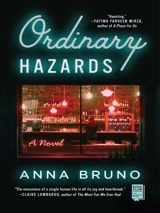 Cover image for Ordinary Hazards
